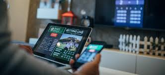 Everything You Need to Know About afiro bet 11